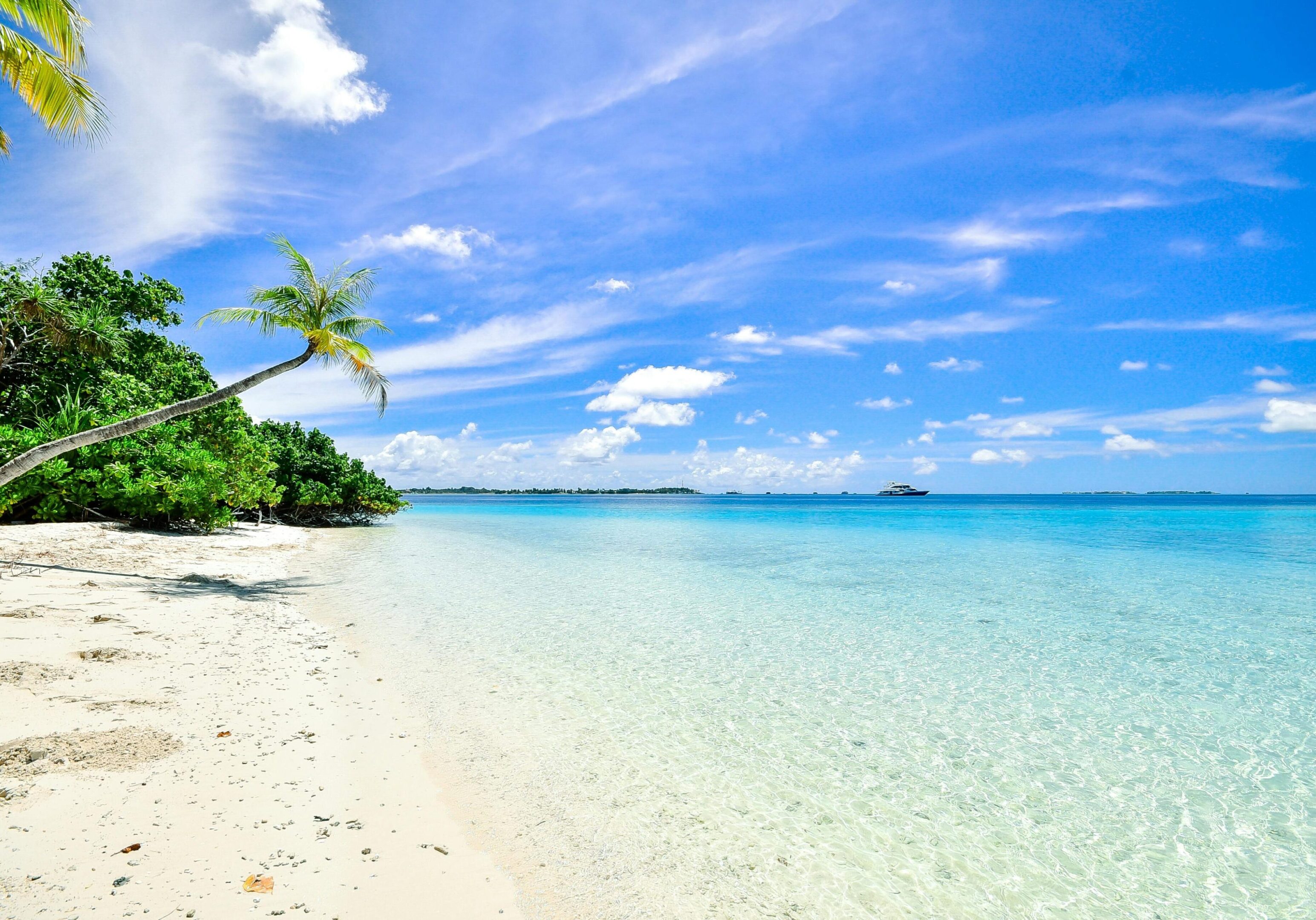 Pristine beach with clear blue water and a bright sky.